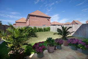 Garden- click for photo gallery